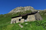MONTI VINDIOLO e VETRO ad anello da Zorzone-Pian Bracca in VAL VEDRA il 13 giugno 2019 - FOTOGALLERY